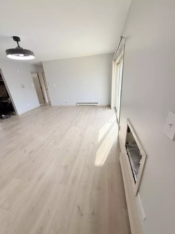 Blue Island, IL 60406,1925 Canal ST #3D