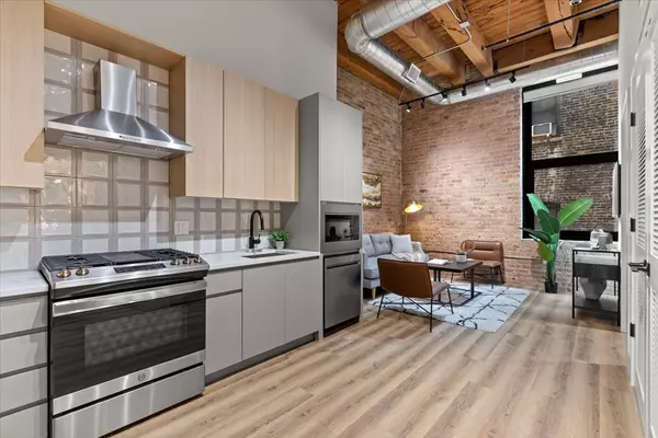 Chicago, IL 60654,153 W Ohio ST #208