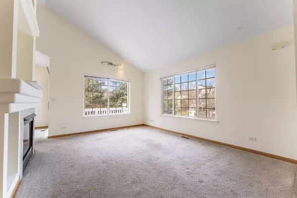 Wheeling, IL 60090,61 Cantal CT #0