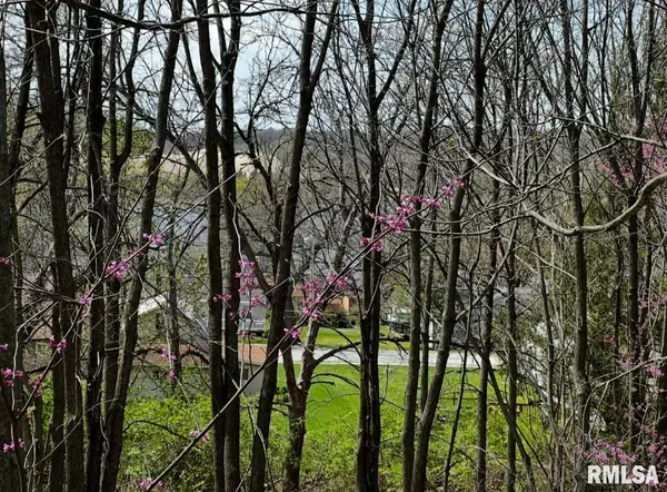 Port Byron, IL 61256,LOT 201 JAMES ST