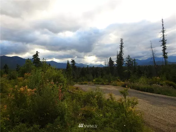 Cle Elum, WA 98922,0 Lot 6 Mahonia DR