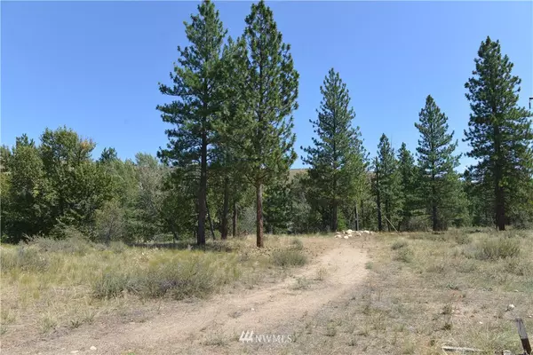 Winthrop, WA 98862,0 Lot 20 Riffle LOOP