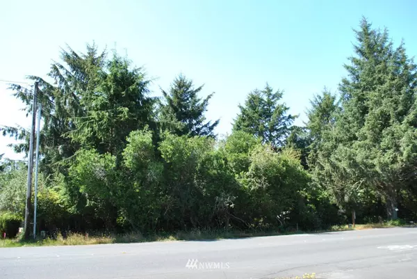 127 Point Brown AVE NW, Ocean Shores, WA 98569