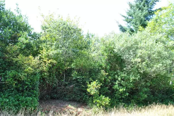 118 Seagate ST, Ocean Shores, WA 98569