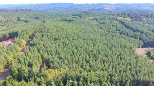 Castle Rock, WA 98611,0 Lot Q Ridgewood