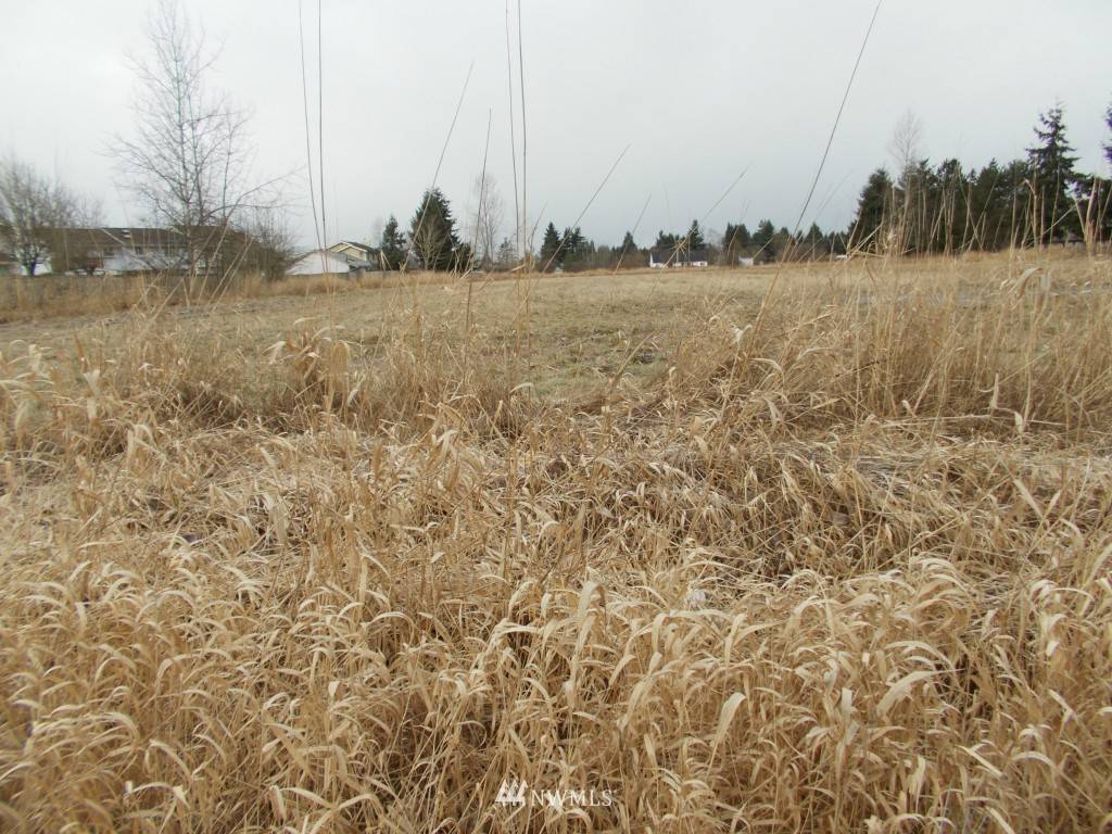 Enumclaw, WA 98022,123 Watson N