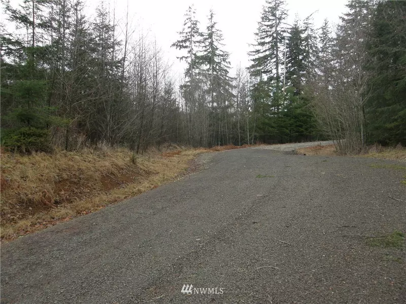 45 Maplevine LN, Elma, WA 98541