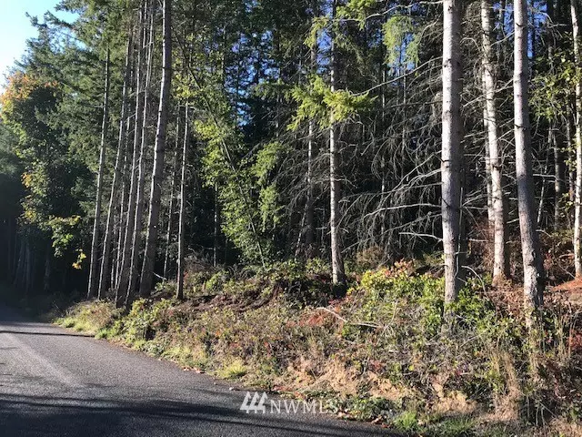 Kingston, WA 98346,0 Lot #5 NE Ohman RD