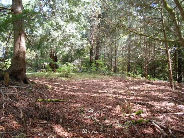 0 Canal View ST, Brinnon, WA 98320