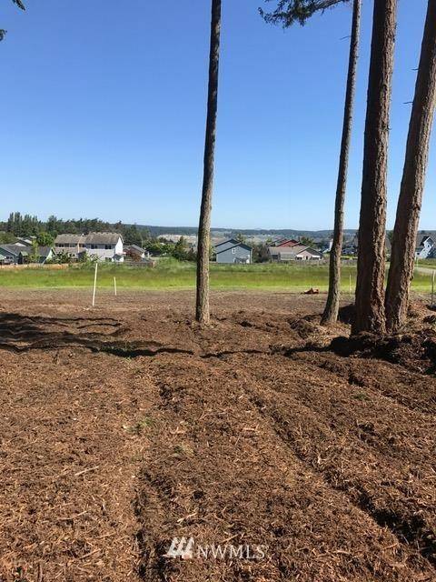 0 NW Wilkes Street Lot 3, Coupeville, WA 98239