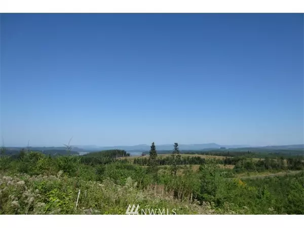 0 Lot 9 Silver Ridge, Castle Rock, WA 98611