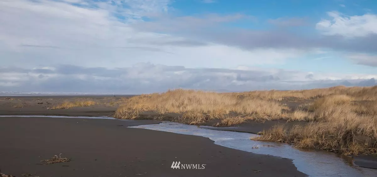 Ocean City, WA 98569,70 Dunes LN