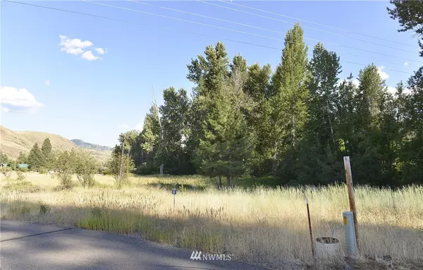 Winthrop, WA 98862,0 Lot 8 Greenwood RD