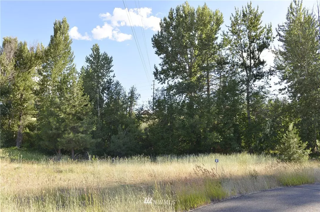 Winthrop, WA 98862,0 Lot 8 Greenwood RD