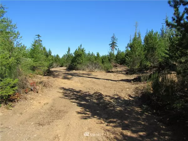 188 acres W Old Camp Sundown (10 tax lots) RD, Bremerton, WA 98312