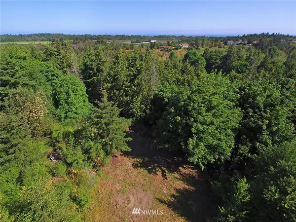 Sequim, WA 98382,0 Lot 3 Cougar Heights DR