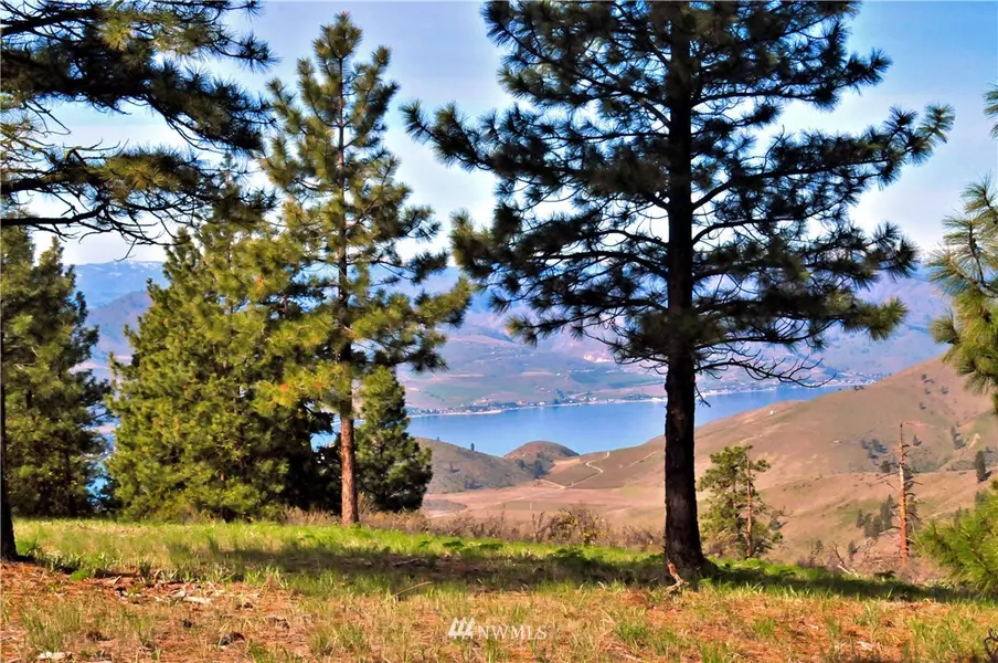 1114 Blazing Star LN #Lot18, Chelan, WA 98816