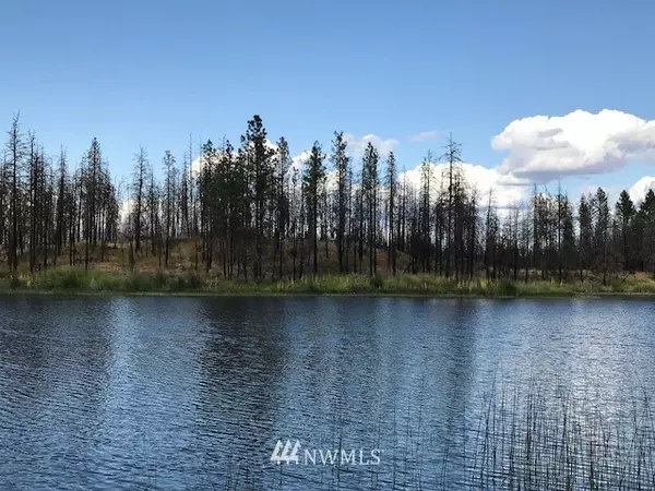 Okanogan, WA 98840,0 NHN Emerald Lake RD