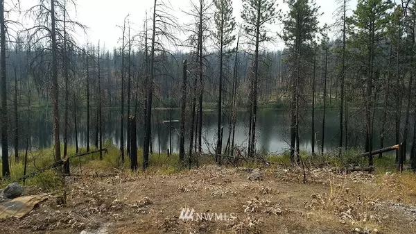 Okanogan, WA 98840,0 NHN Emerald Lake RD