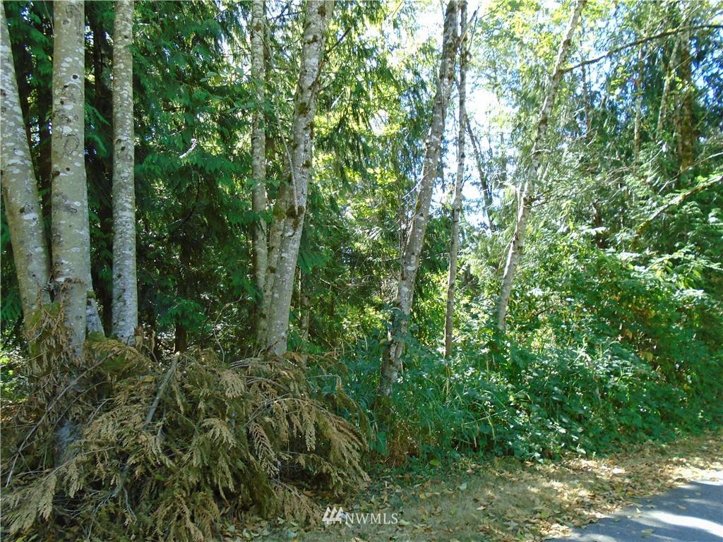 0 Lot 26 Brook LN, Sedro Woolley, WA 98284