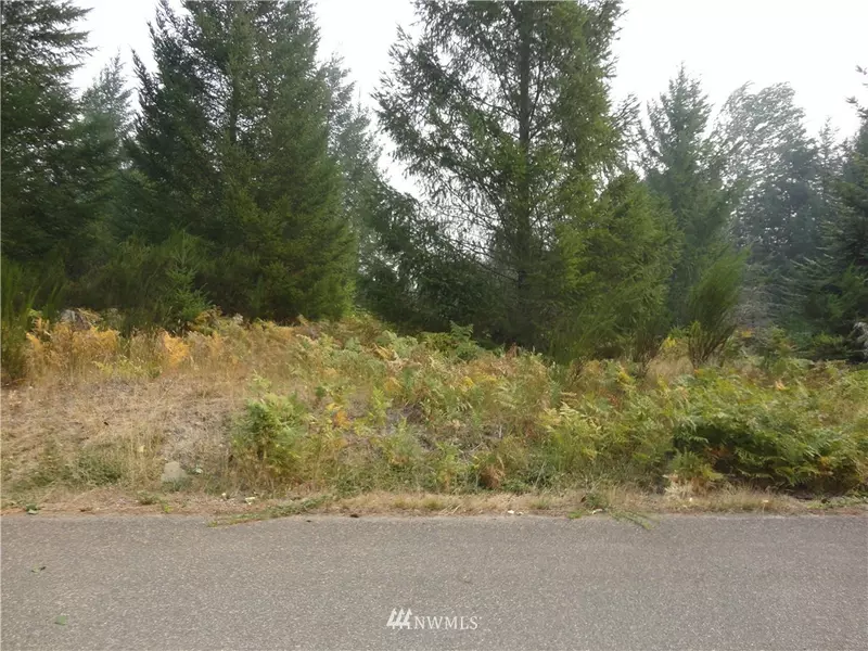 0 Lot 12 Cottonwood LN, Packwood, WA 98361