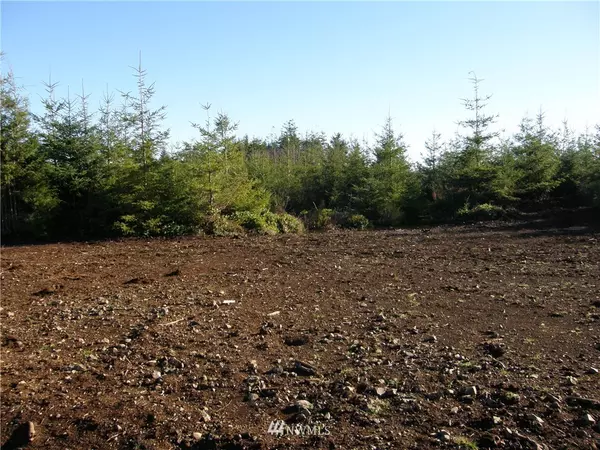 Aberdeen, WA 98520,7 Arboretum LN W