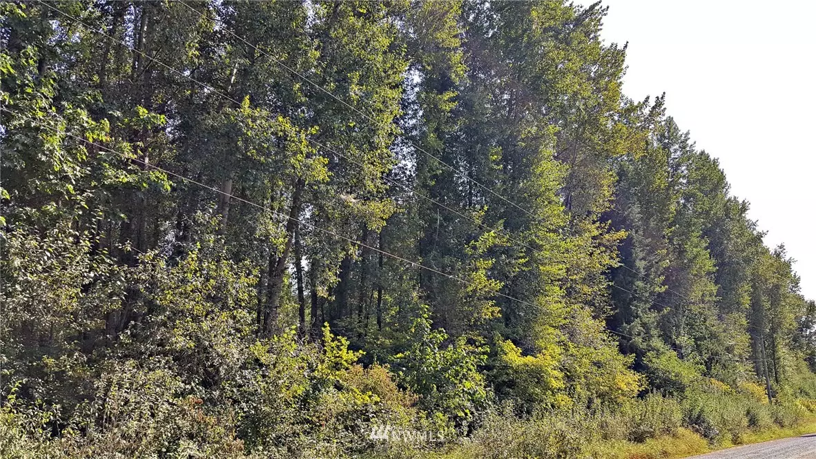 Roy, WA 98580,0 24th AVE E