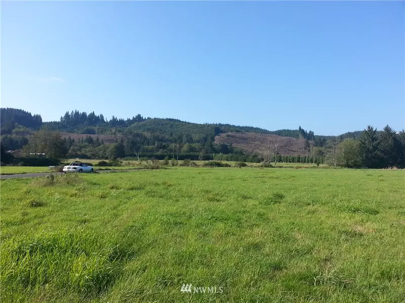 0 Lot 4 Nature Loop, Cathlamet, WA 98612