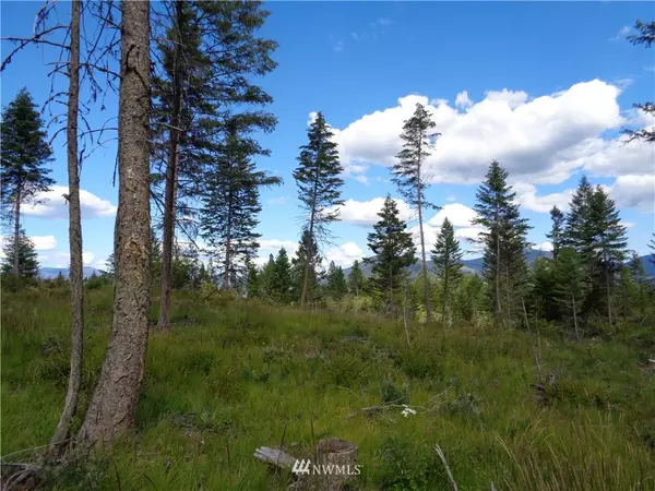 0 Lot 39 4th of July Crreek RD, Danville, WA 99121