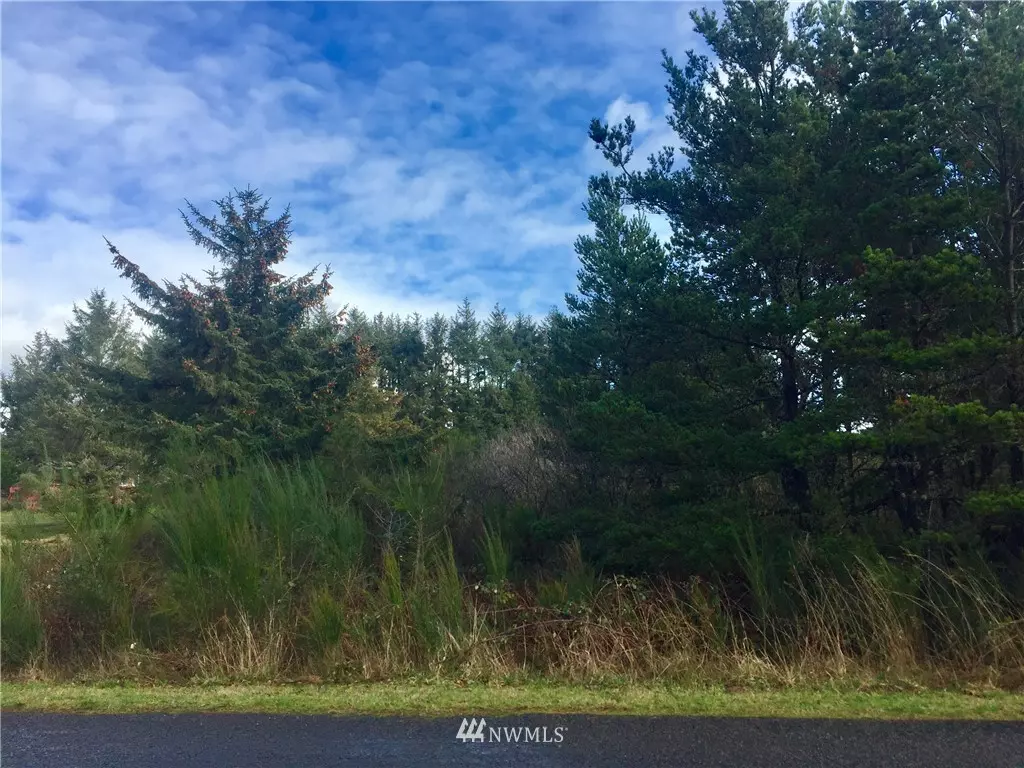 Grayland, WA 98547,1 XXX Sandy DR