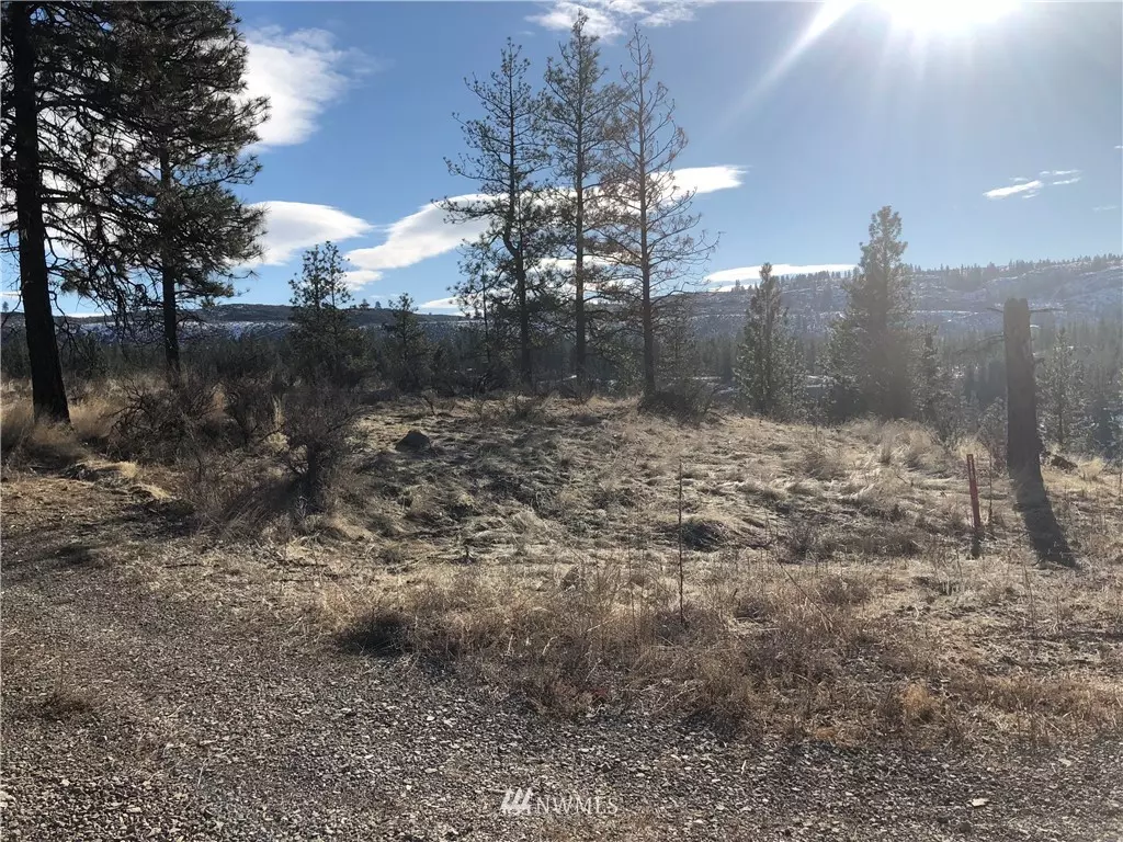 Tonasket, WA 98855,0 TBD Lot 3 Lake Bluff North