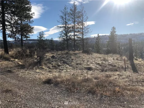 0 TBD Lot 3 Lake Bluff North, Tonasket, WA 98855