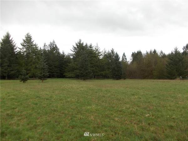 11543 School Land RD SW, Rochester, WA 98579
