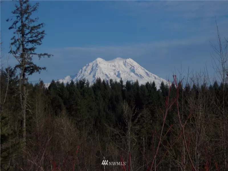 0 173rd AVE SE, Yelm, WA 98597