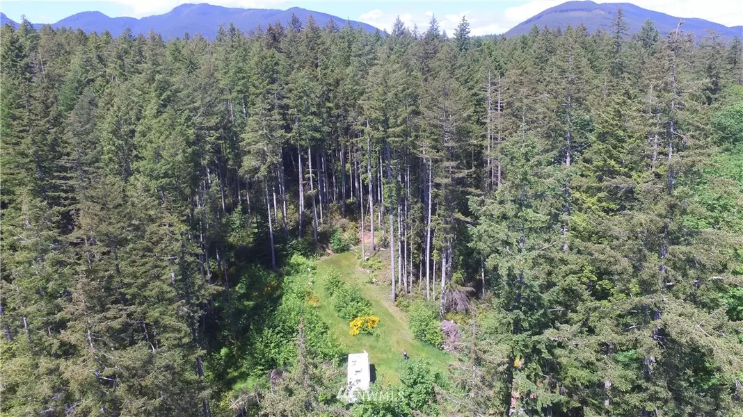 58 Old Point Whitney RD, Brinnon, WA 98320