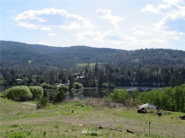 Republic, WA 99166,0 TBD Heron Loop RD