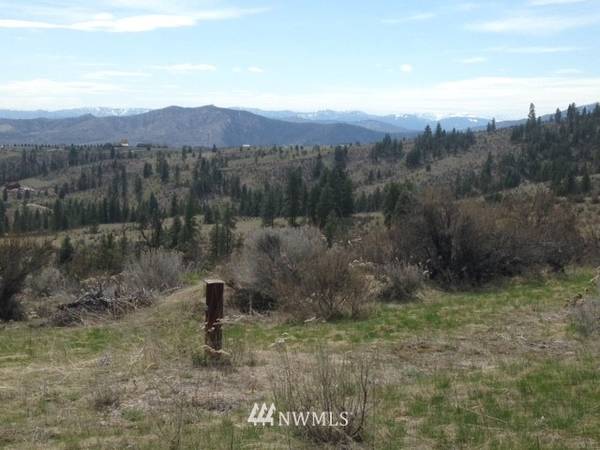 0 Coyote Trail RD, Manson, WA 98831