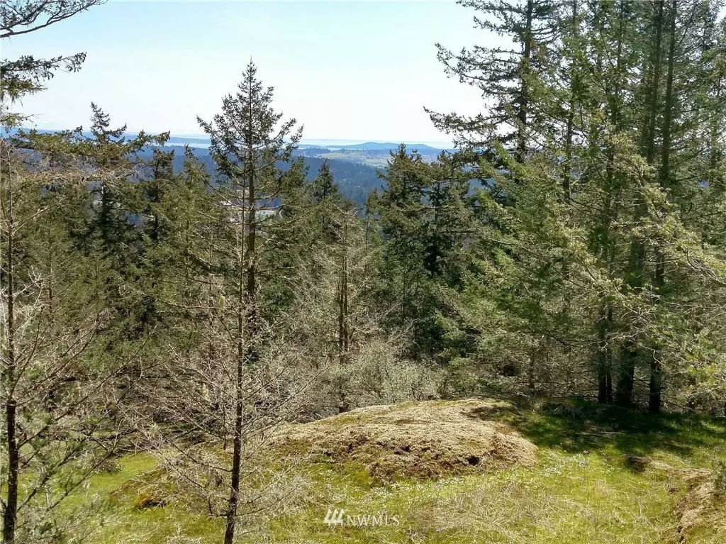 San Juan Island, WA 98250,1636 Cady Mountain RD