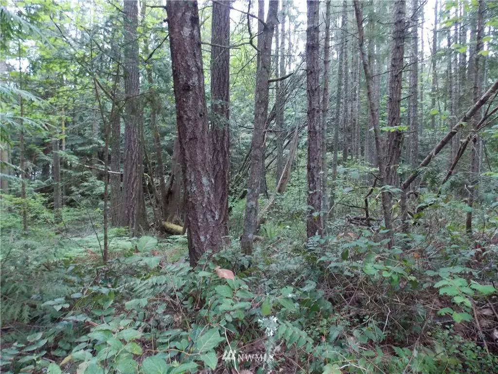 Yelm, WA 98597,18603 Woodside DR SE