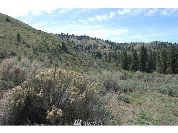 0 Mountain Springs RD #80, Orondo, WA 98843