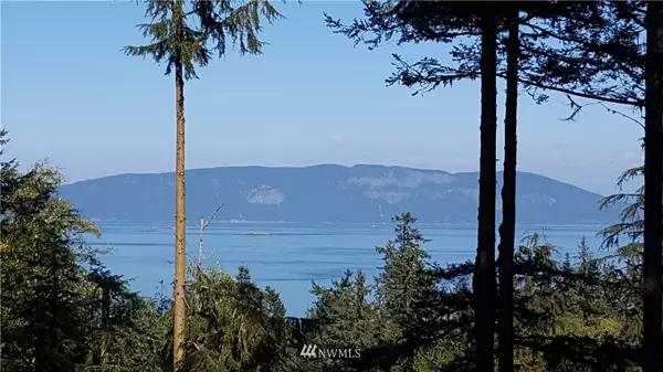 0 xxx Obstruction Pass RD, Orcas Island, WA 98279