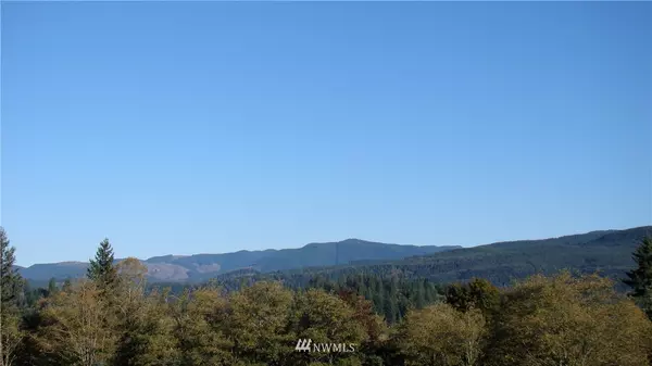 Mossyrock, WA 98564,267 Lot 2 Blankenship RD