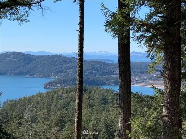 Orcas Island, WA 98245,1363 Eagle Ridge RD