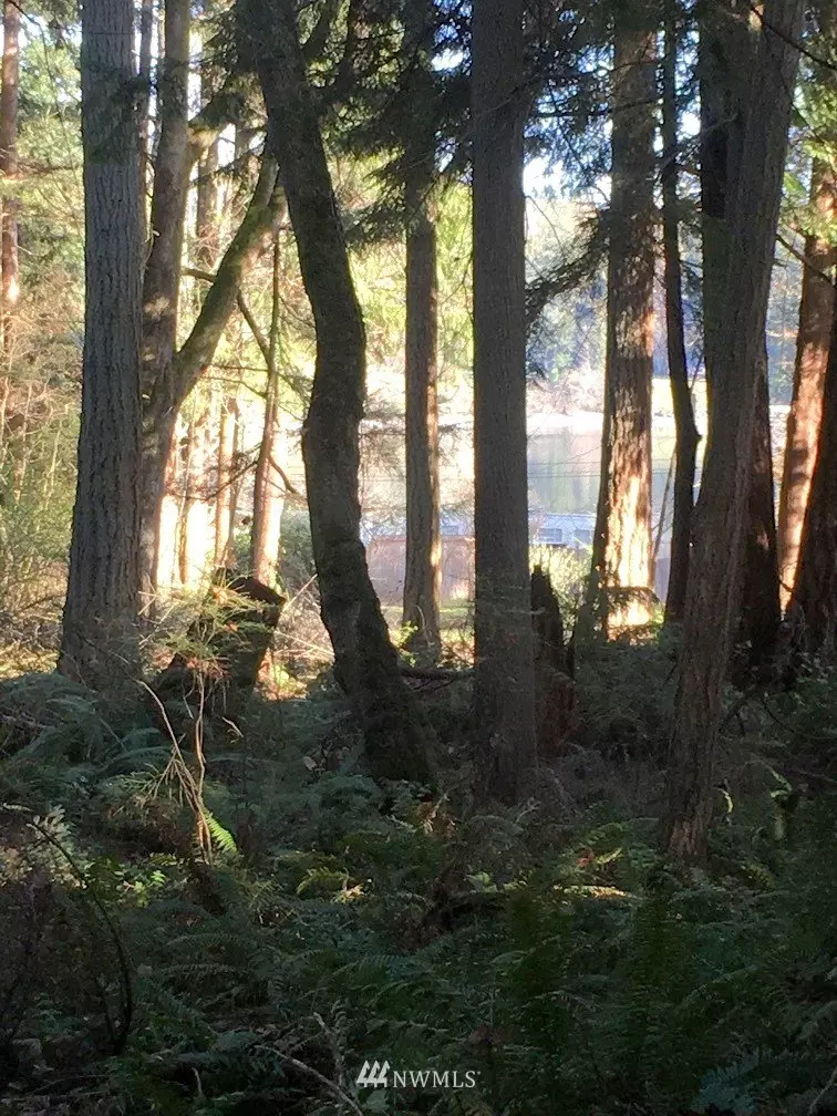 Poulsbo, WA 98370,0 001-02 NE Eisenhardt LN