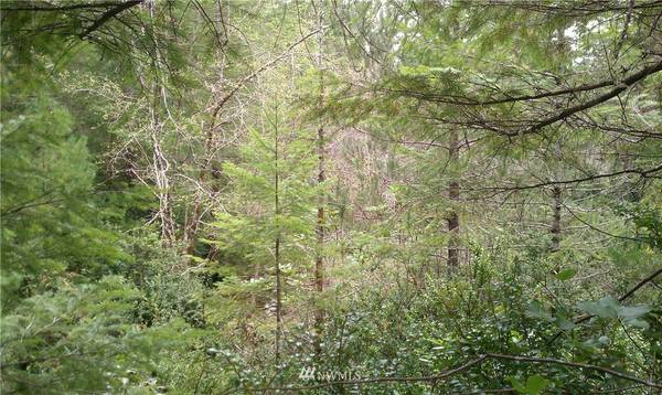 0 Lot 2 NE Shoe Lake RD, Tahuya, WA 98588