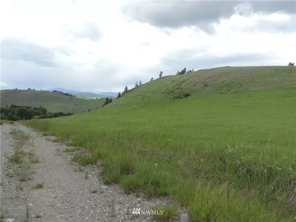 Oroville, WA 98844,90 (Lot W1) Moose Mtn RD