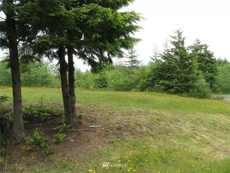 0 XXX Alpine LN, Hoquiam, WA 98550