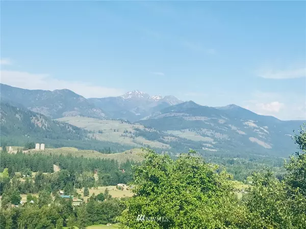 101 Little Colt LN, Winthrop, WA 98862