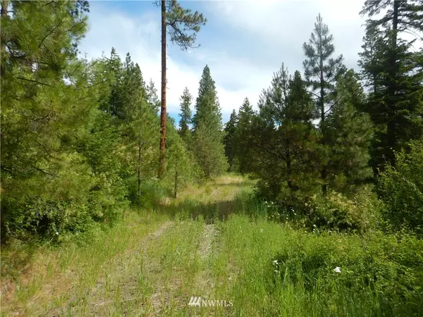 Cle Elum, WA 98922,0 Lot C Creekside