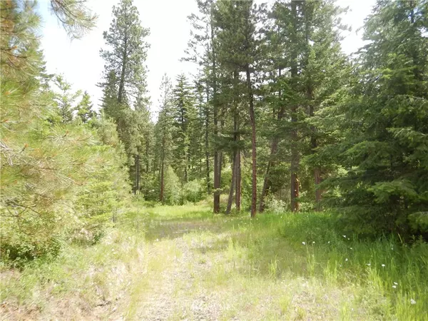 Cle Elum, WA 98922,0 Lot C Creekside